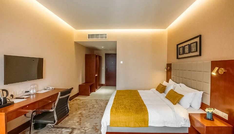 هتل هوریزونت تفلیس